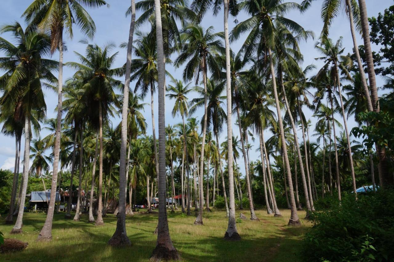 Peaceland Hostel Panglao Zewnętrze zdjęcie