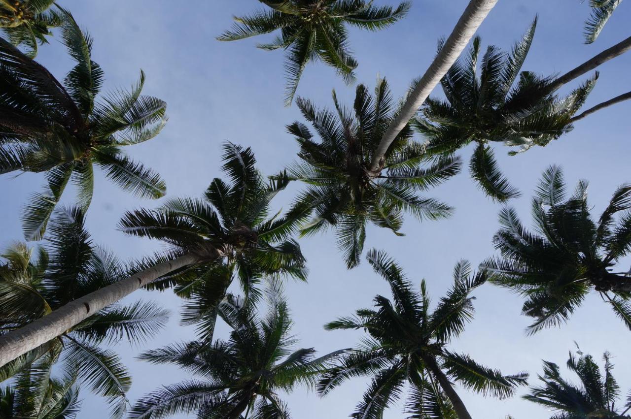 Peaceland Hostel Panglao Zewnętrze zdjęcie