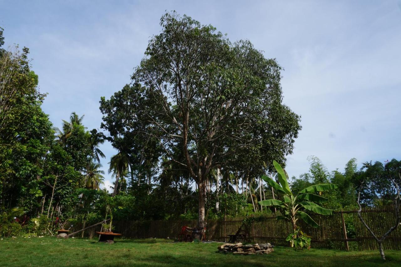 Peaceland Hostel Panglao Zewnętrze zdjęcie